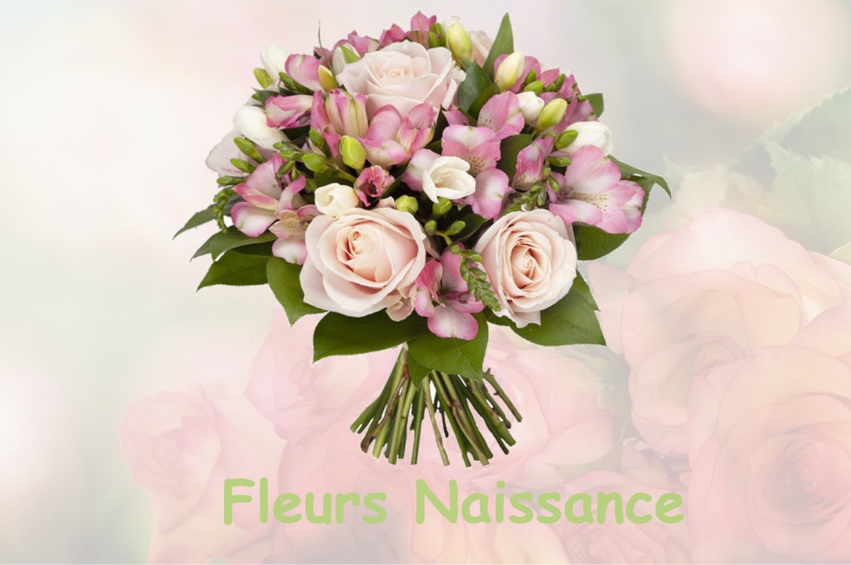 fleurs naissance SAVERES