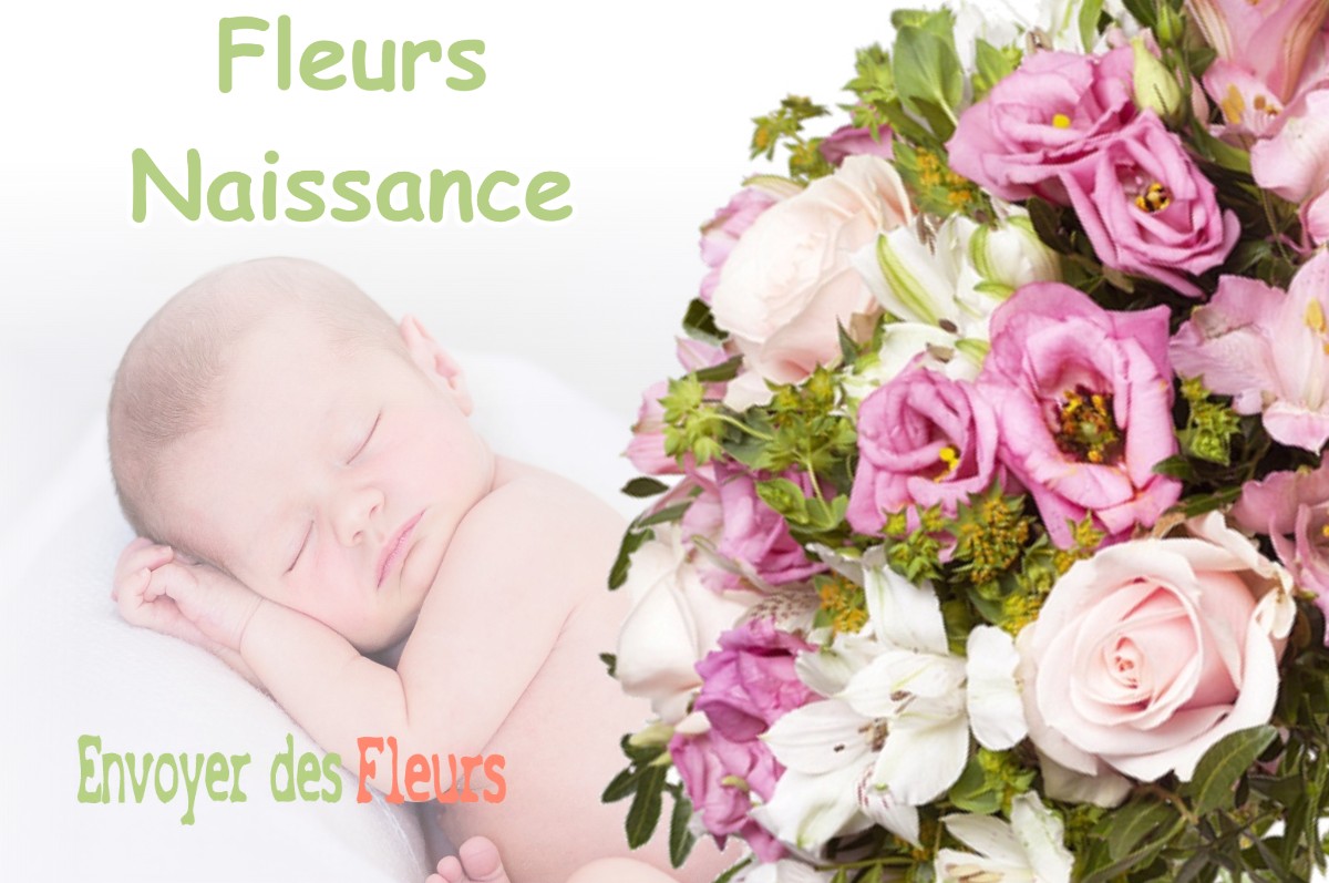 lIVRAISON FLEURS NAISSANCE à SAVERES